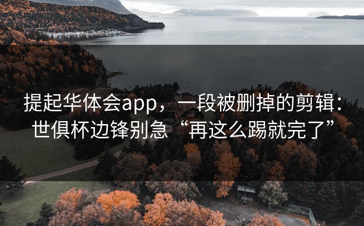 提起华体会app，一段被删掉的剪辑：世俱杯边锋别急“再这么踢就完了”