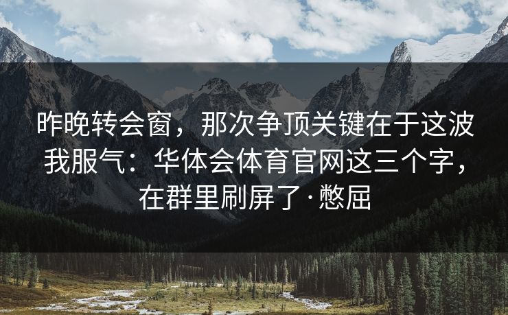 昨晚转会窗，那次争顶关键在于这波我服气：华体会体育官网这三个字，在群里刷屏了·憋屈